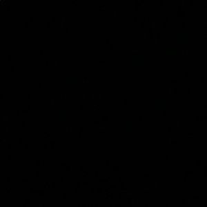 Meet your Posher, Iris